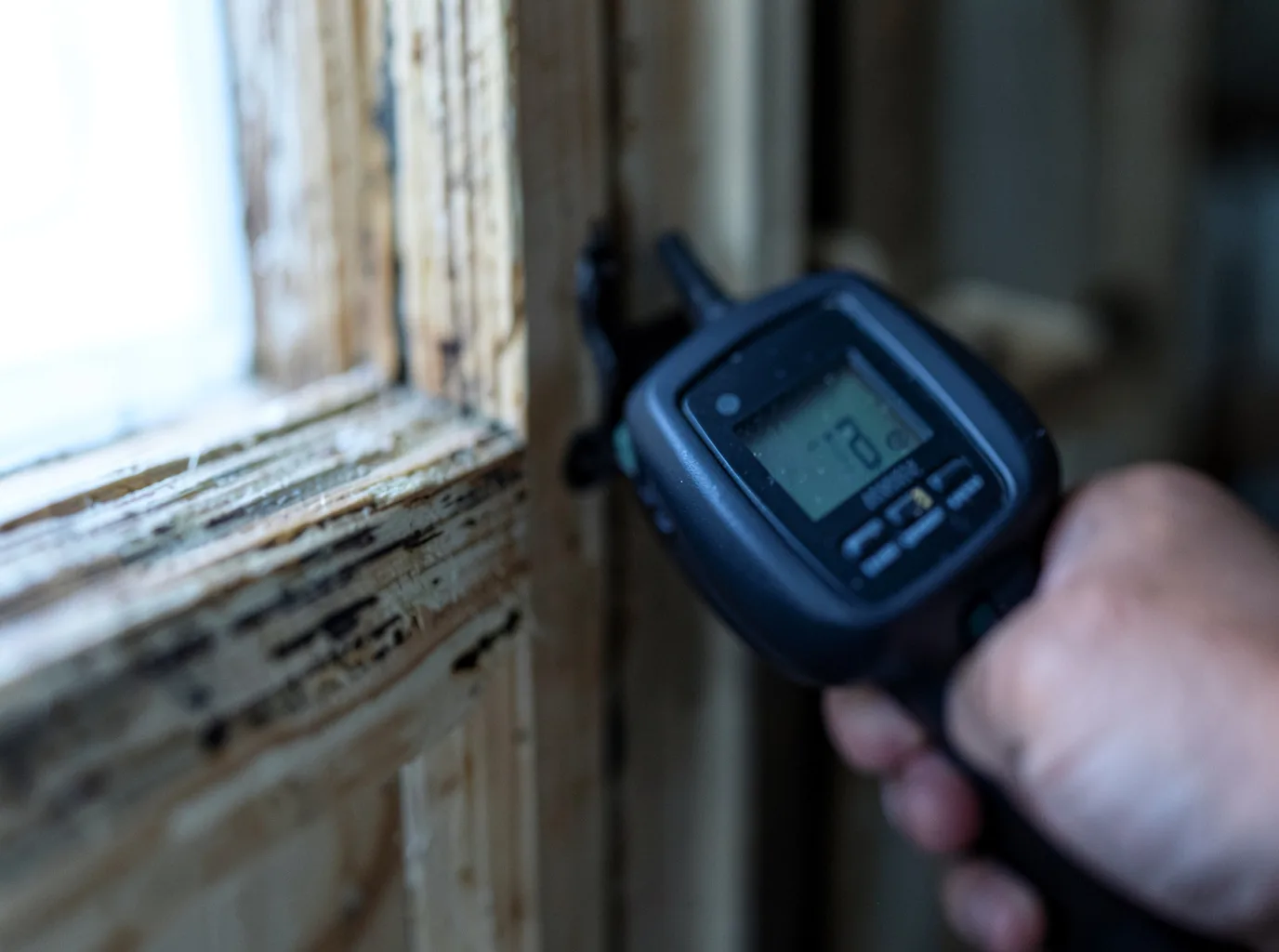 Ceiling Water Damage Repair in Cortez, CO